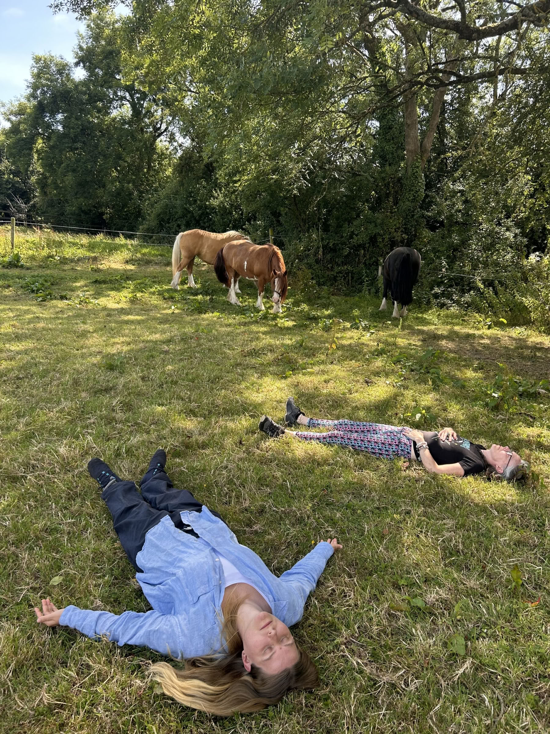 Connect with Heart Ritiro with the Horses
