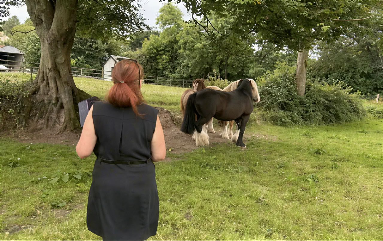 Connect with Heart Ritiro with the Horses