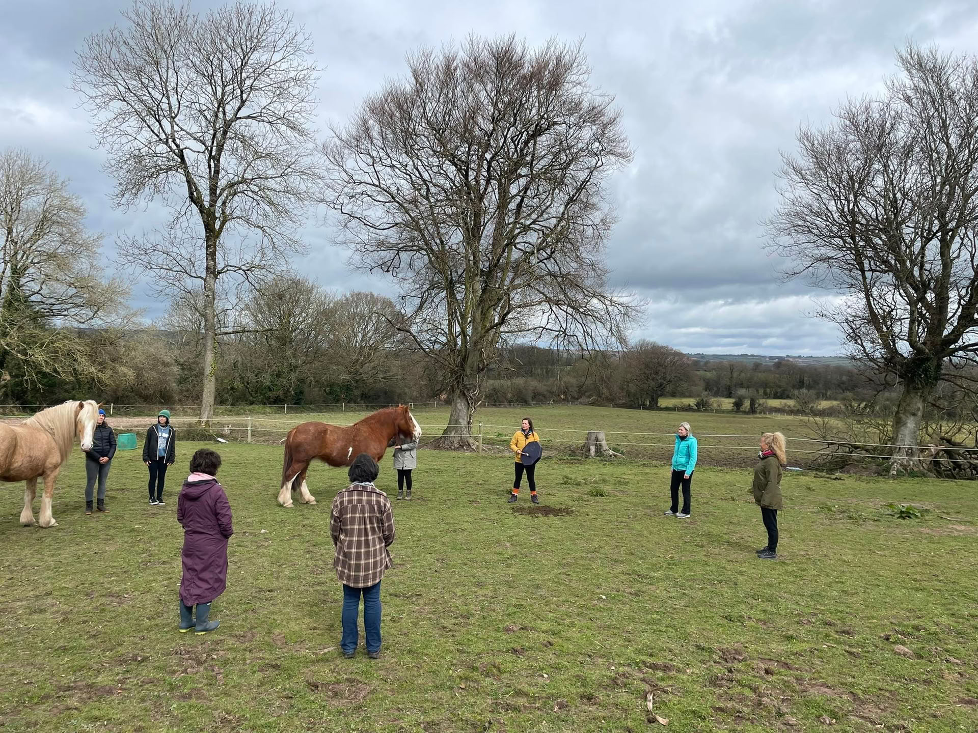 Self Love Ritiro with the Horses