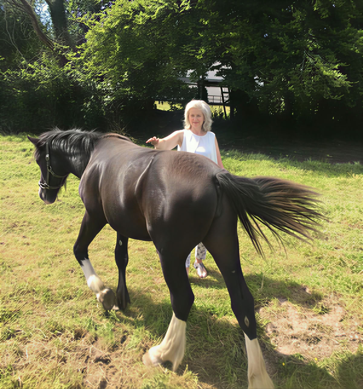 Equine 1-2-1 Therapy