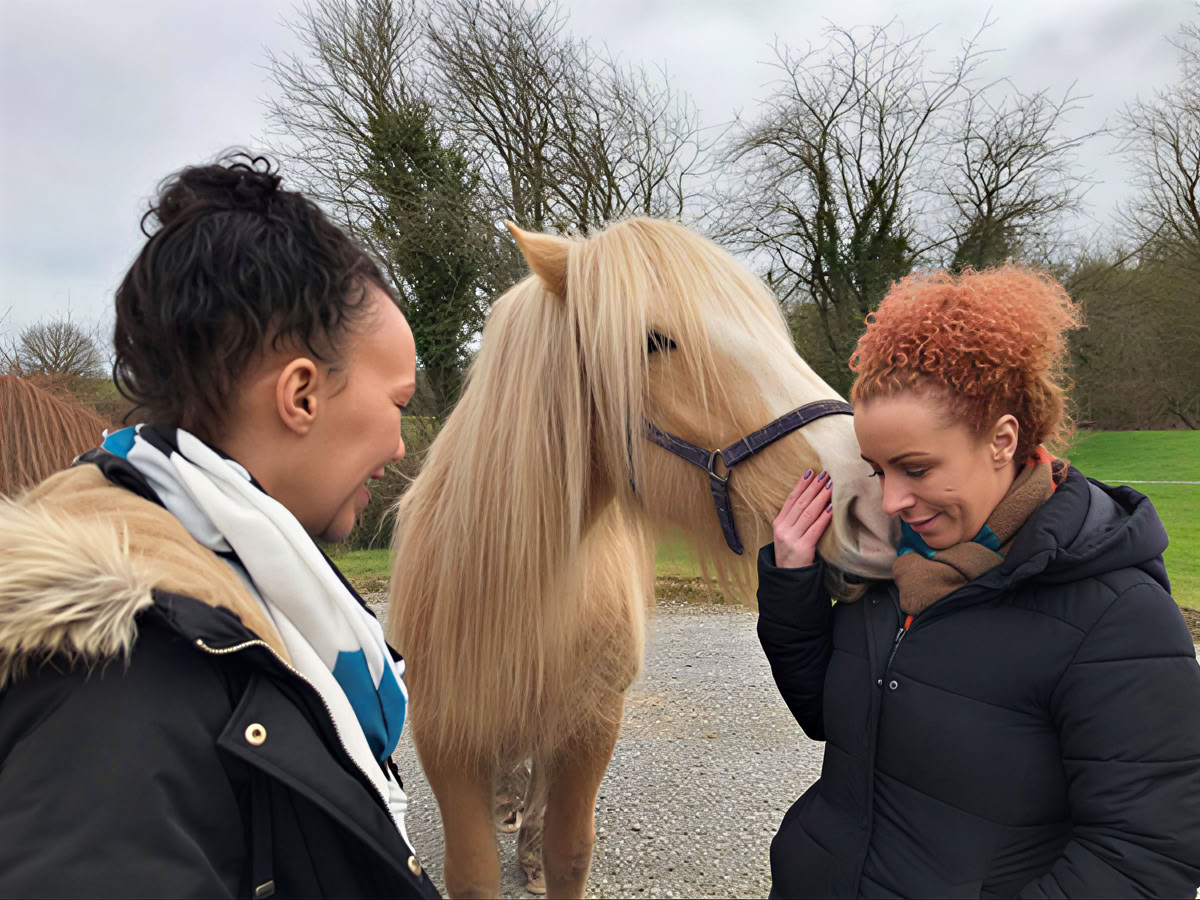 Equine 1-2-1 Therapy