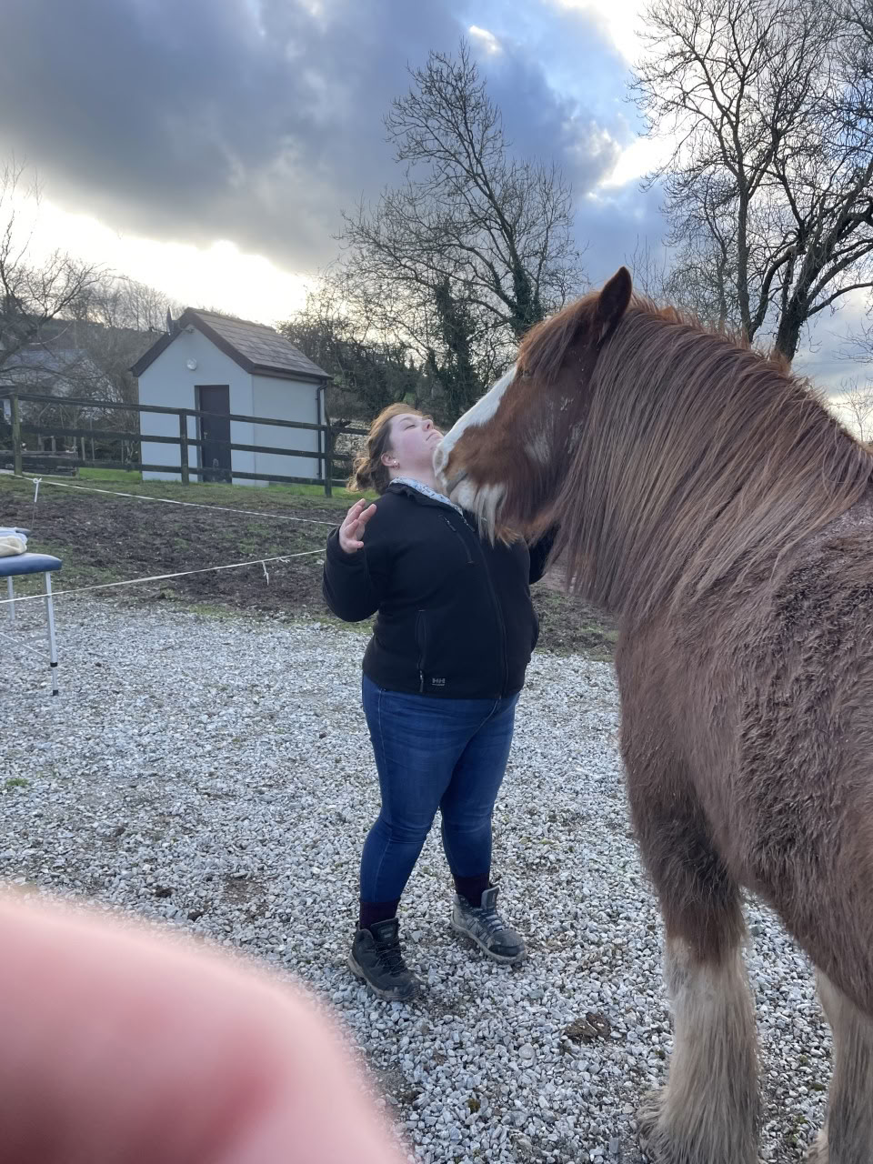 Insegnamento di Animal Reiki