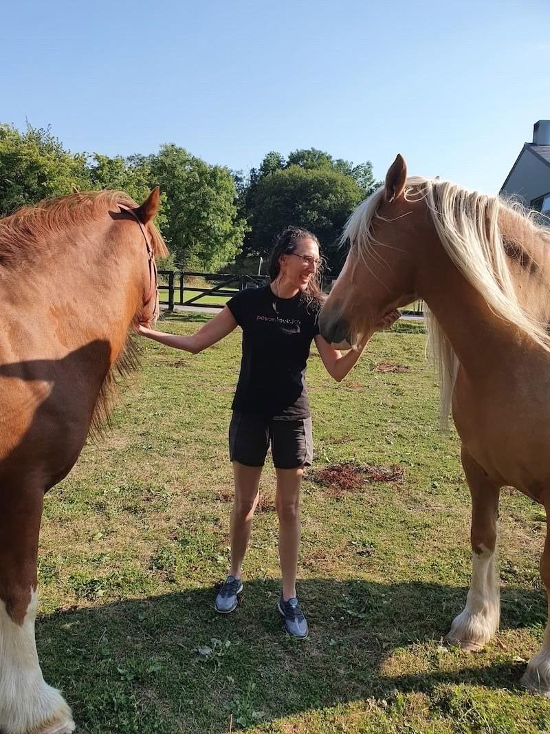 Insegnamento di Animal Reiki