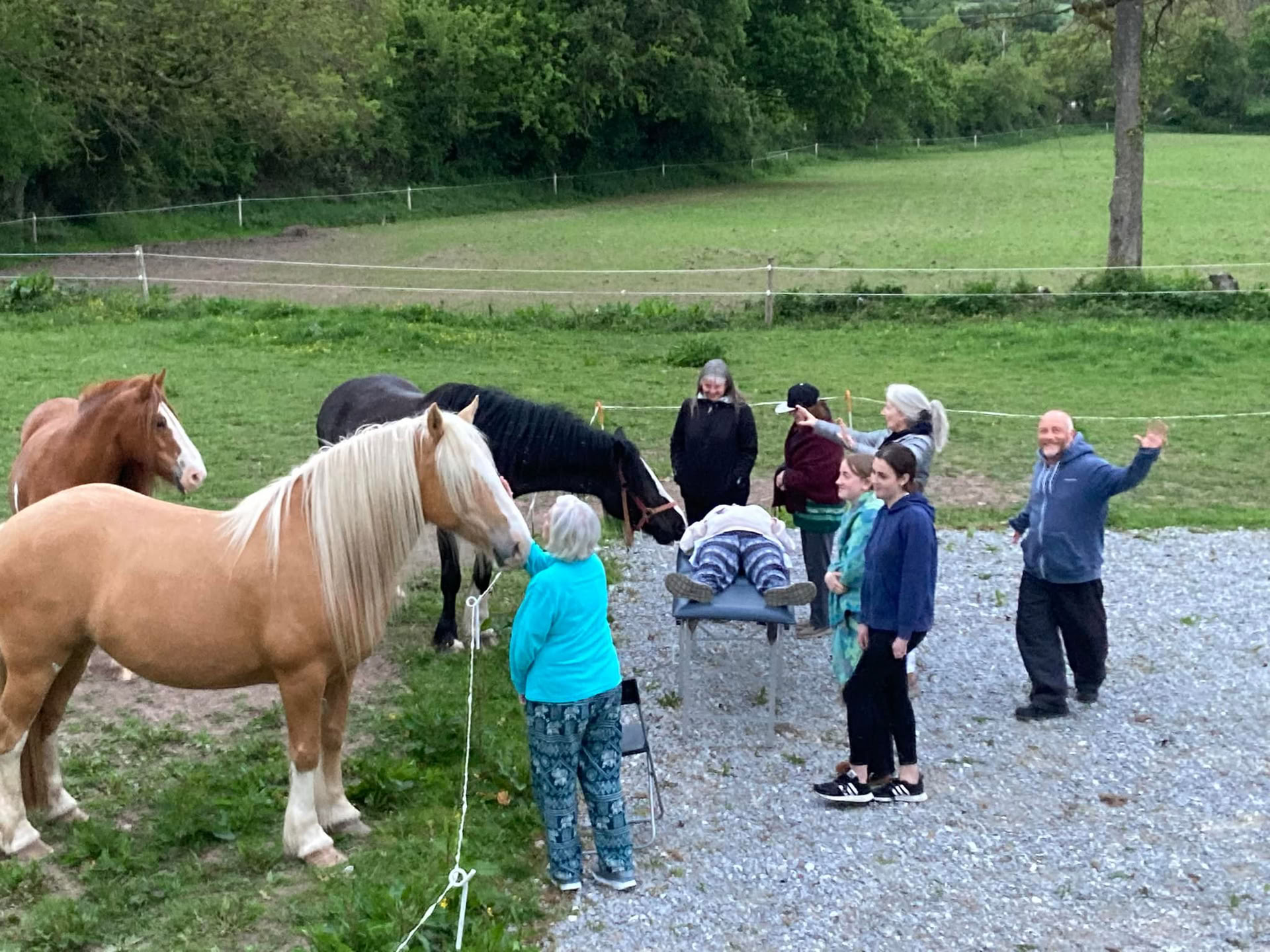 Insegnamento di Animal Reiki