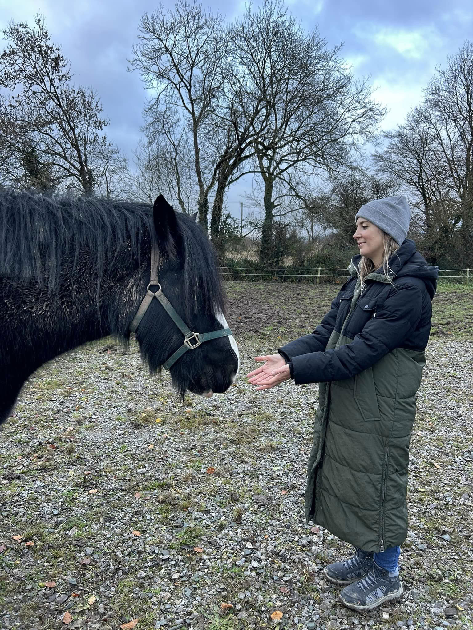 Insegnamento di Animal Reiki