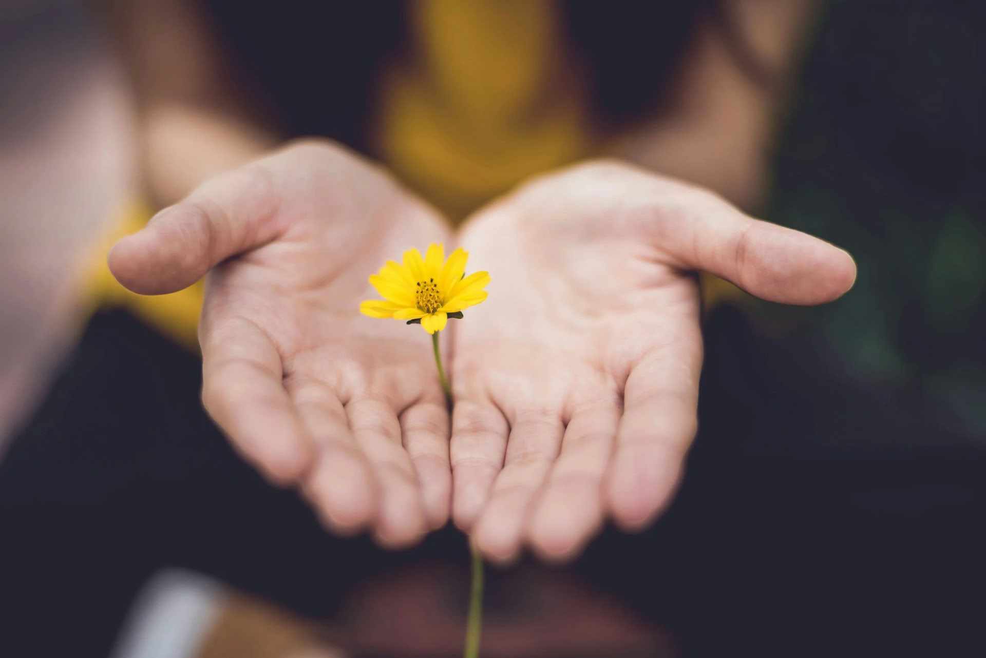 Harmonize Your Life: Un Ritiro