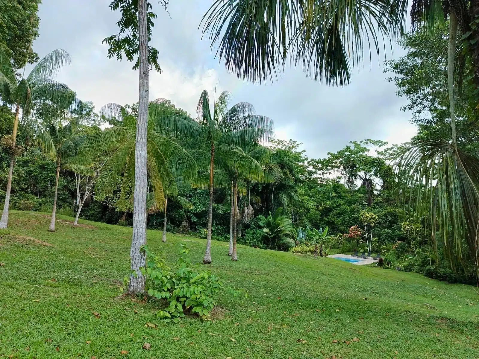 5 giorni ritiro ayahuasca e san pedro