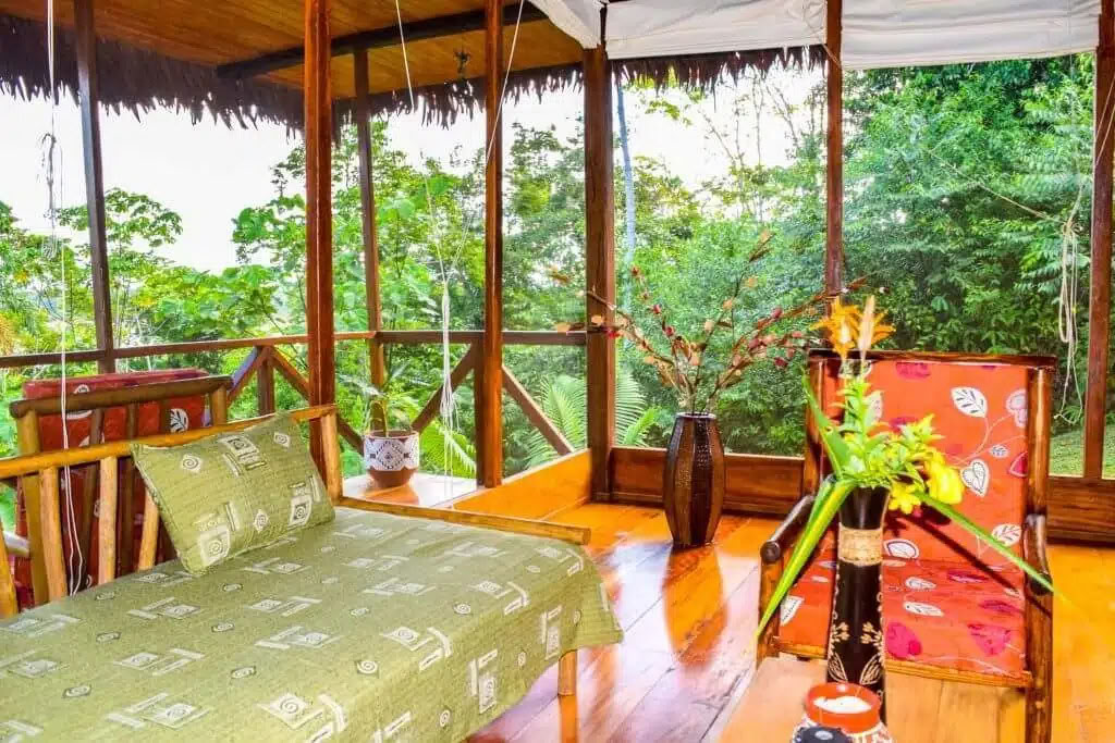 5 giorni ritiro ayahuasca e san pedro