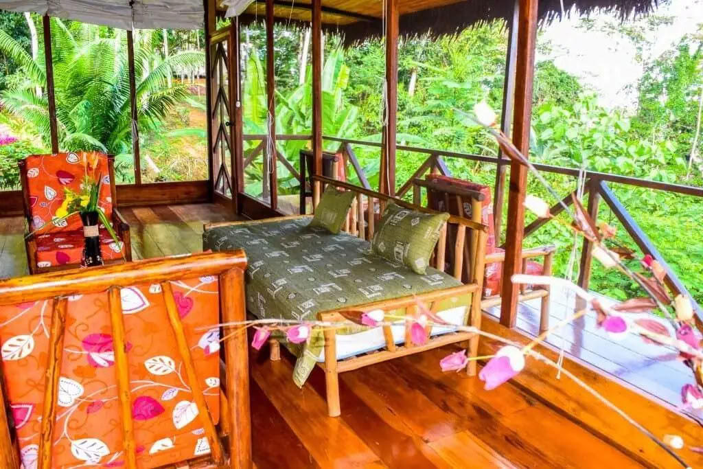 5 giorni ritiro ayahuasca e san pedro