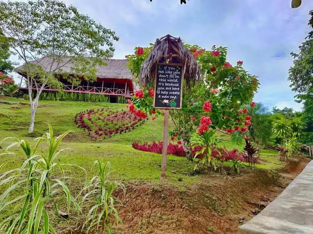 8 Giorni Ritiro di Ayahuasca e San Pedro – 26 Mag - 2 Giu