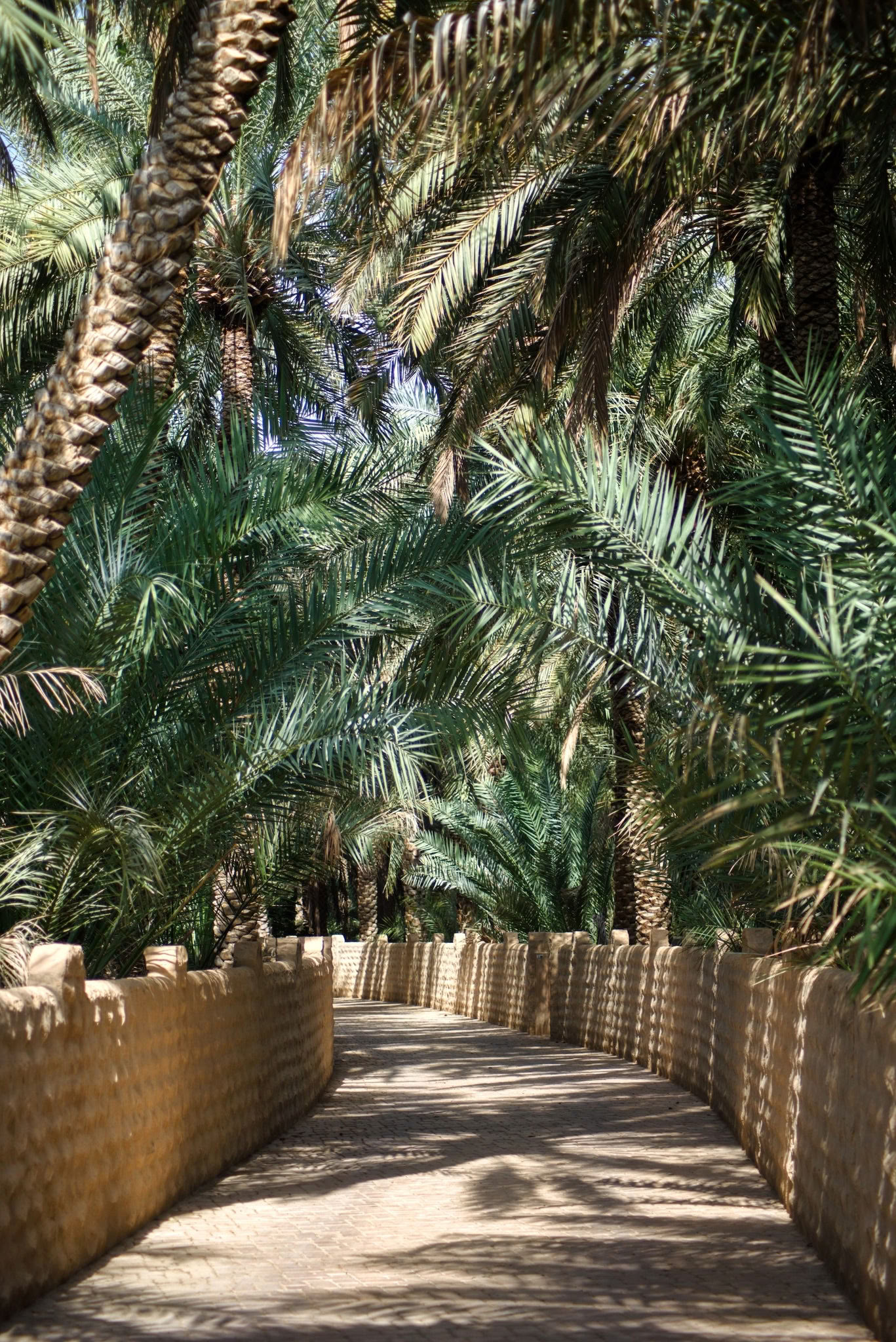 Scoperta celeste di sé - Palm Springs