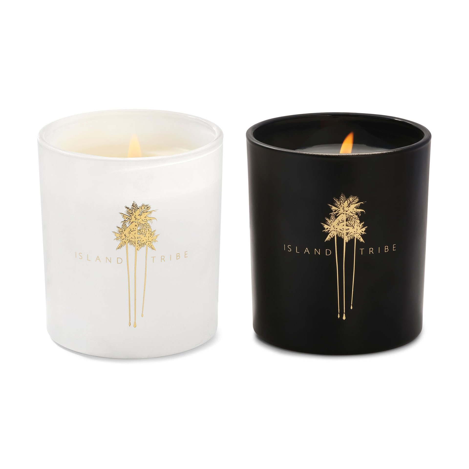 Workshop sulla Corona Floreale - Palm Springs