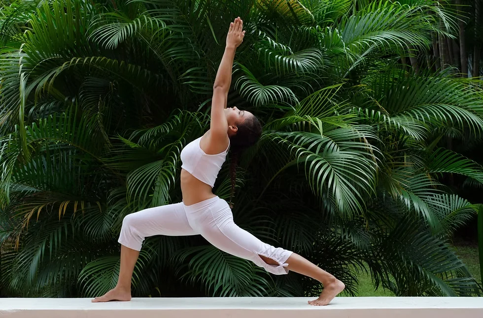 THE FASCIA WAVE RITIRO: ​ COSTA RICA
