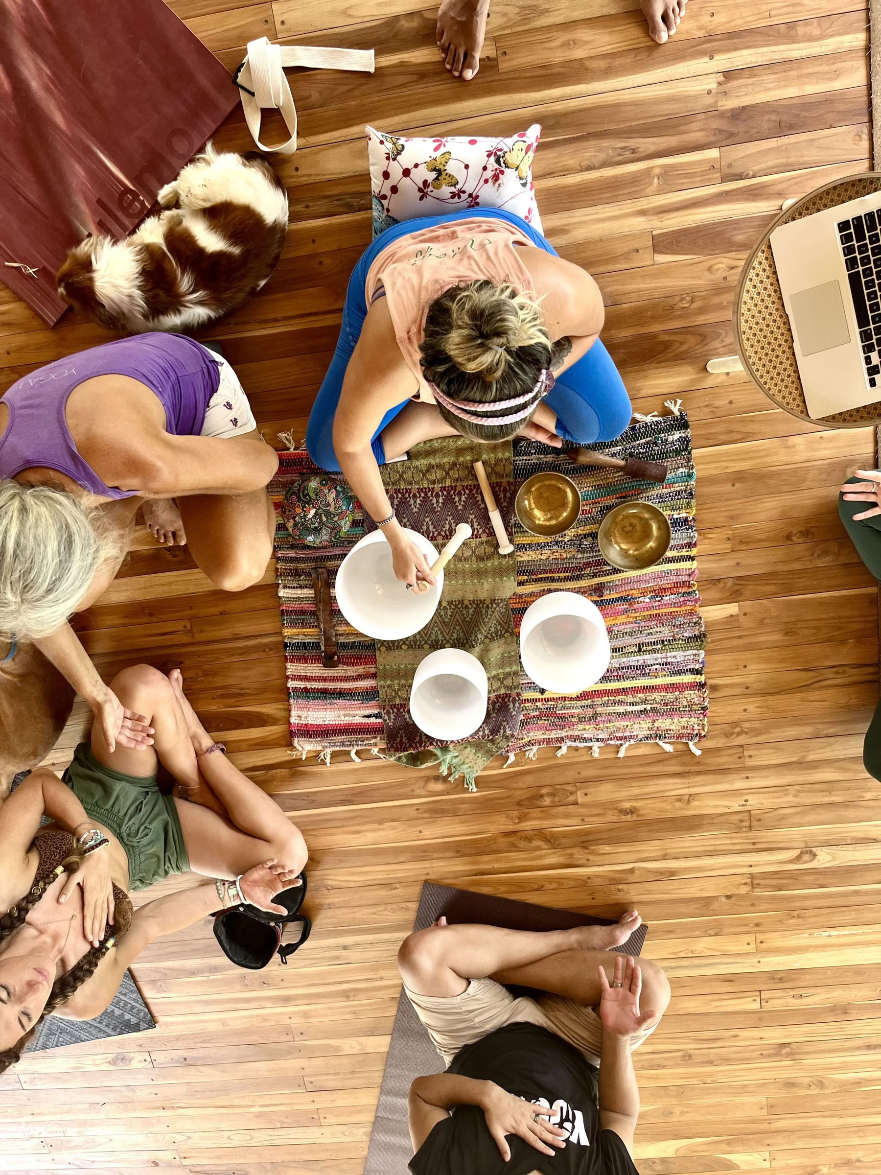 Breathwork Training: Practitioner & Teacher Track – 30 ago 2026 – 2 set 2026