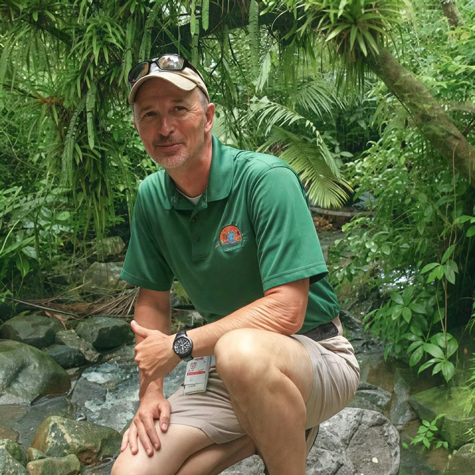 Passeggiata notturna nella foresta pluviale di El Yunque