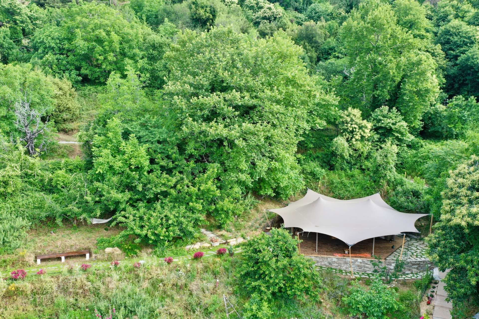 Harmonise Yoga & Wellness Ritiro