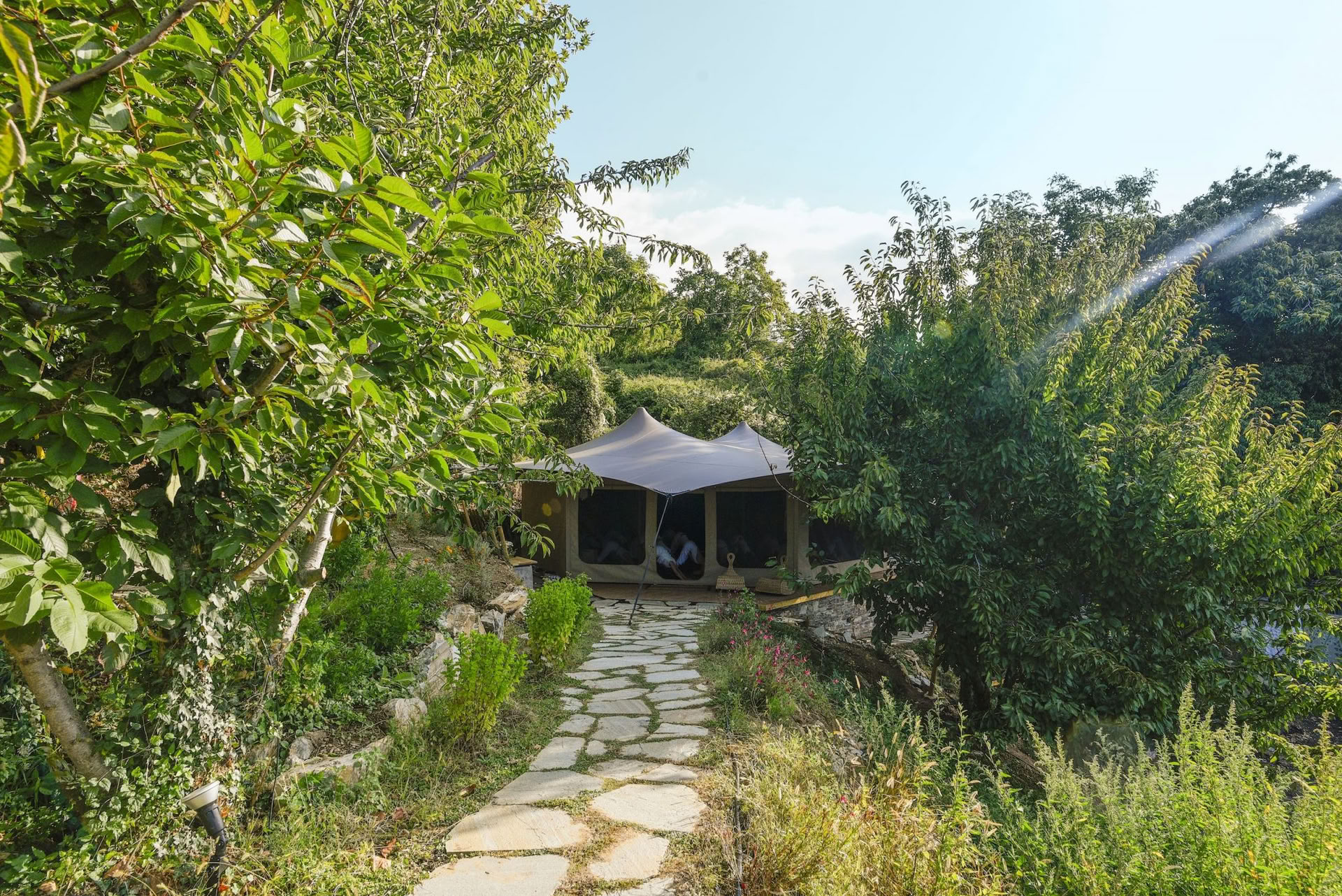 Tata Wellness ritiro in Pelion
