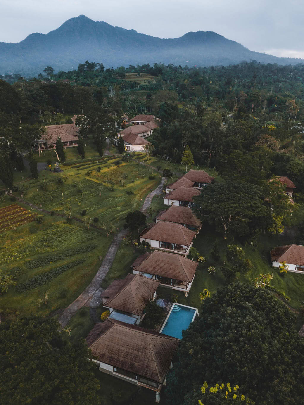 Training per insegnanti di meditazione a Bali, Pelaga