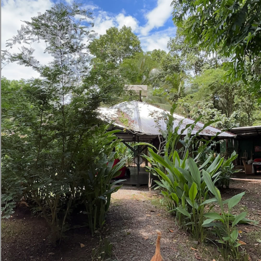Home Sanctuary Ayahuasca Ritiro – 16-23 May