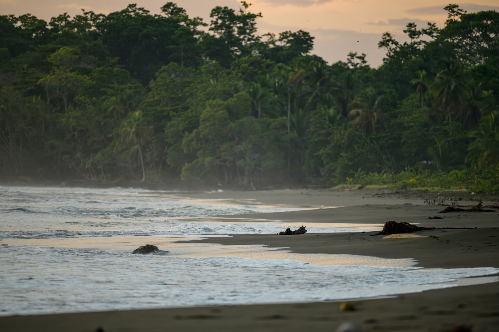 Home Sanctuary Ayahuasca Ritiro – 16-23 May