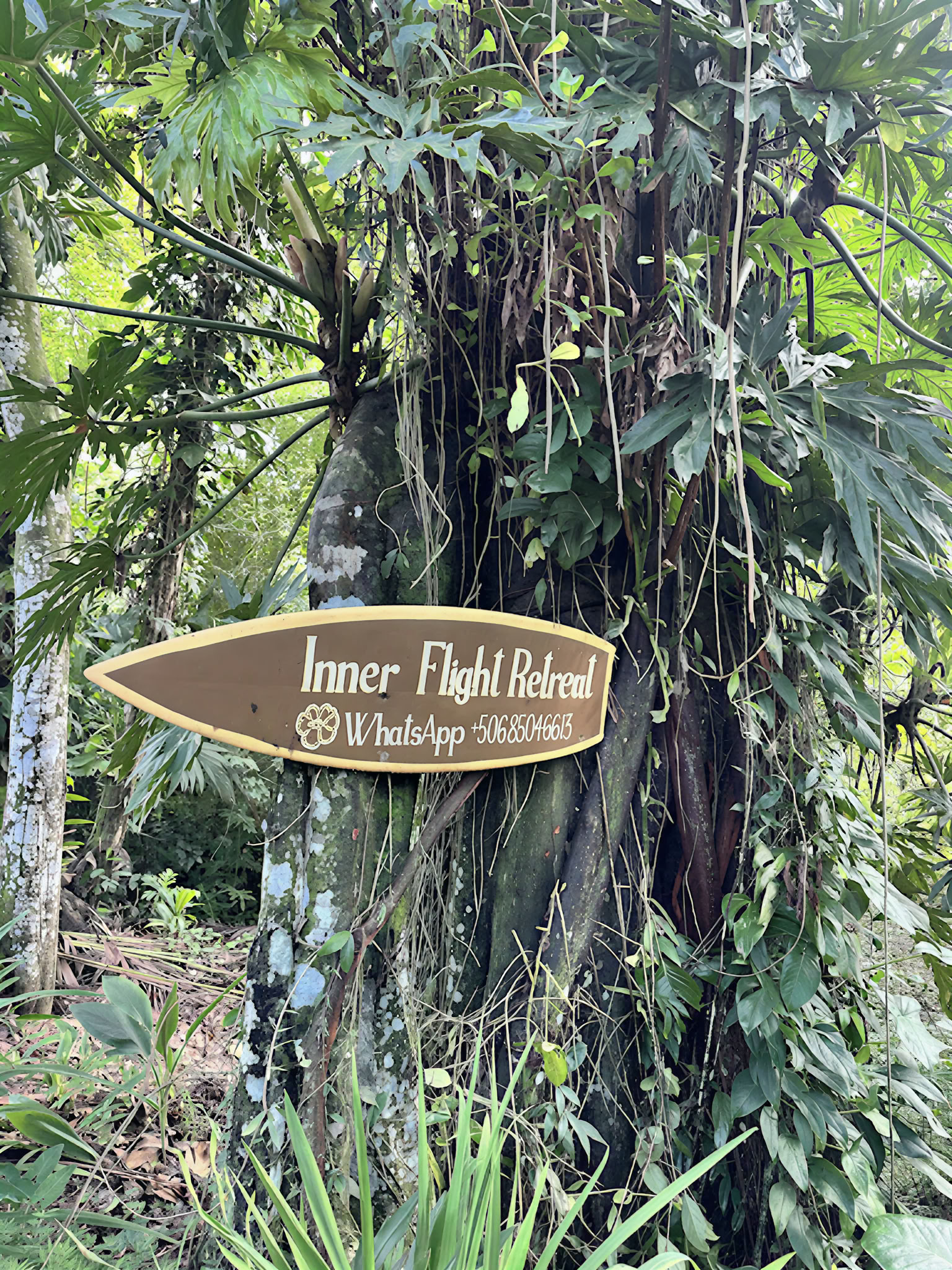 Home Sanctuary Ayahuasca Ritiro – 22 - 29 August