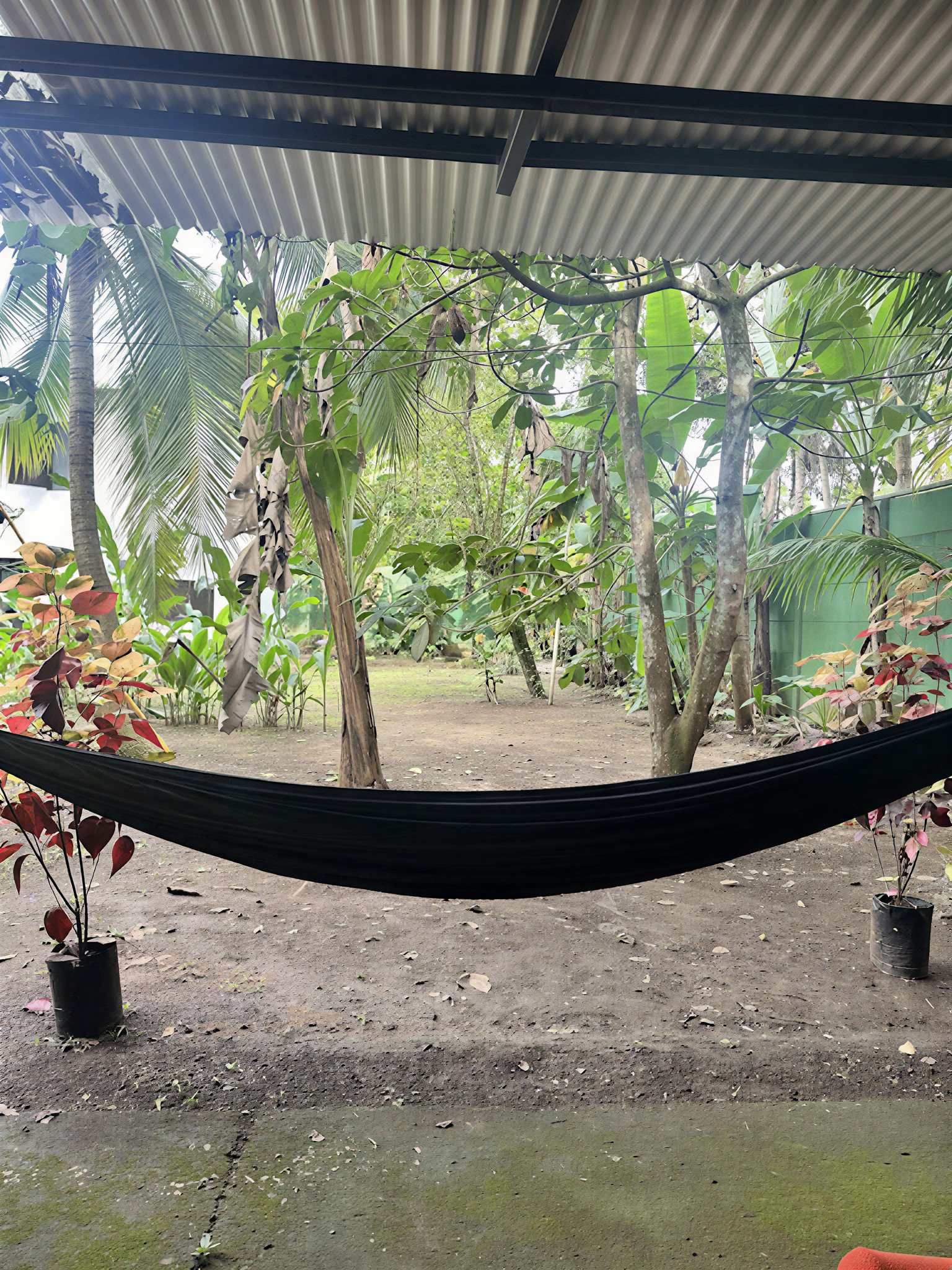 Home Sanctuary Ayahuasca Ritiro – 22 - 29 August