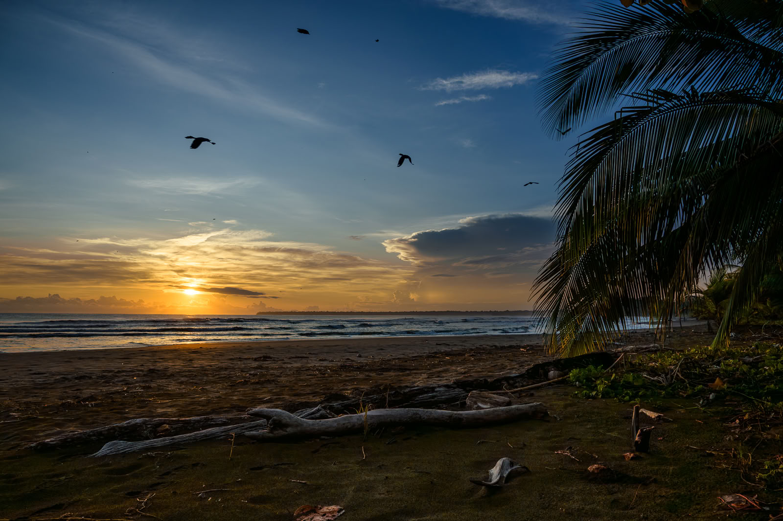 Home Sanctuary Ayahuasca Ritiro – 19 - 26 September