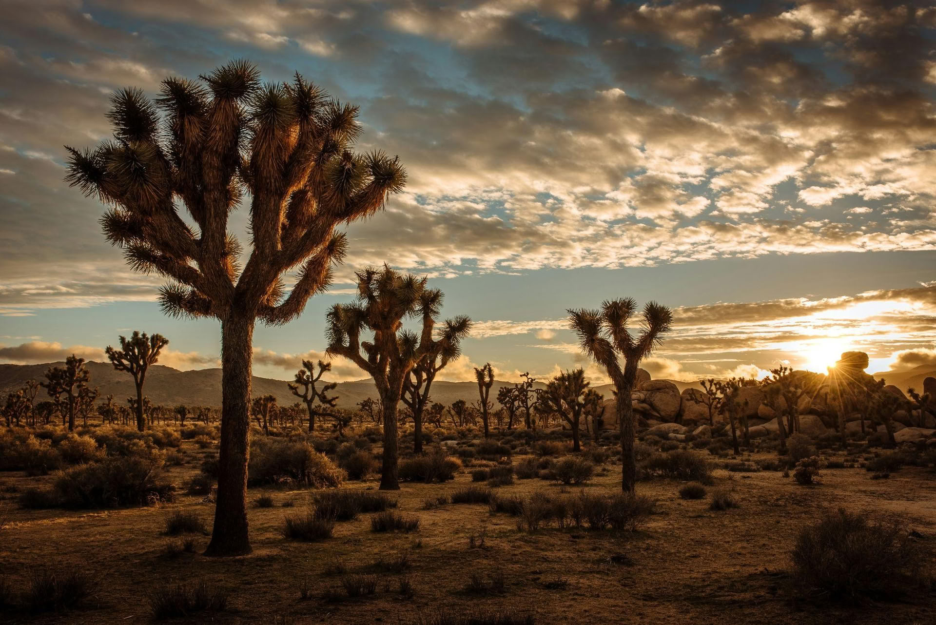 Il Viaggio Trasformativo nel Deserto