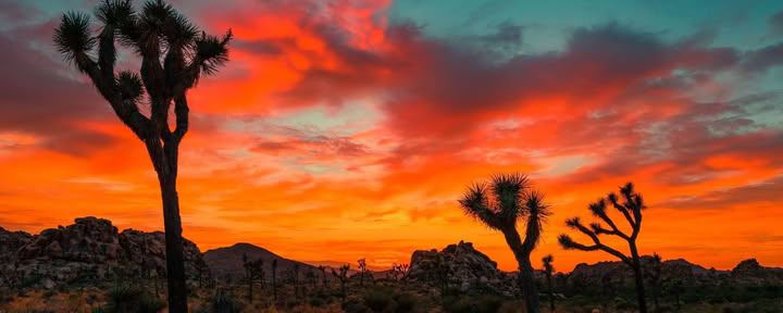 Il Viaggio Trasformativo nel Deserto