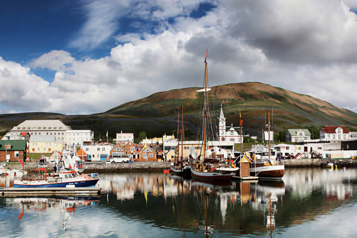 Akureyri Whale Watching