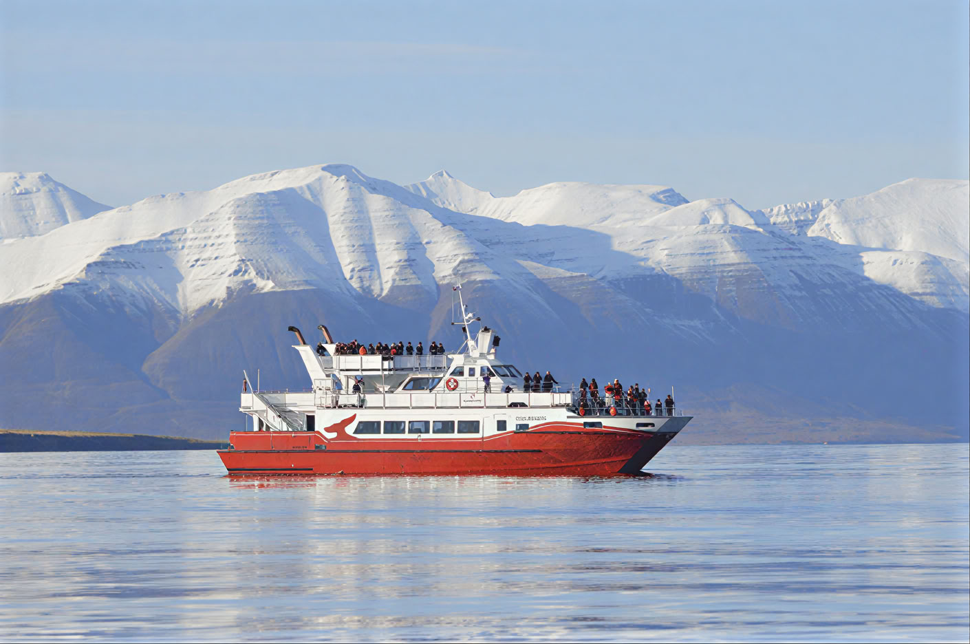 Akureyri Whale Watching