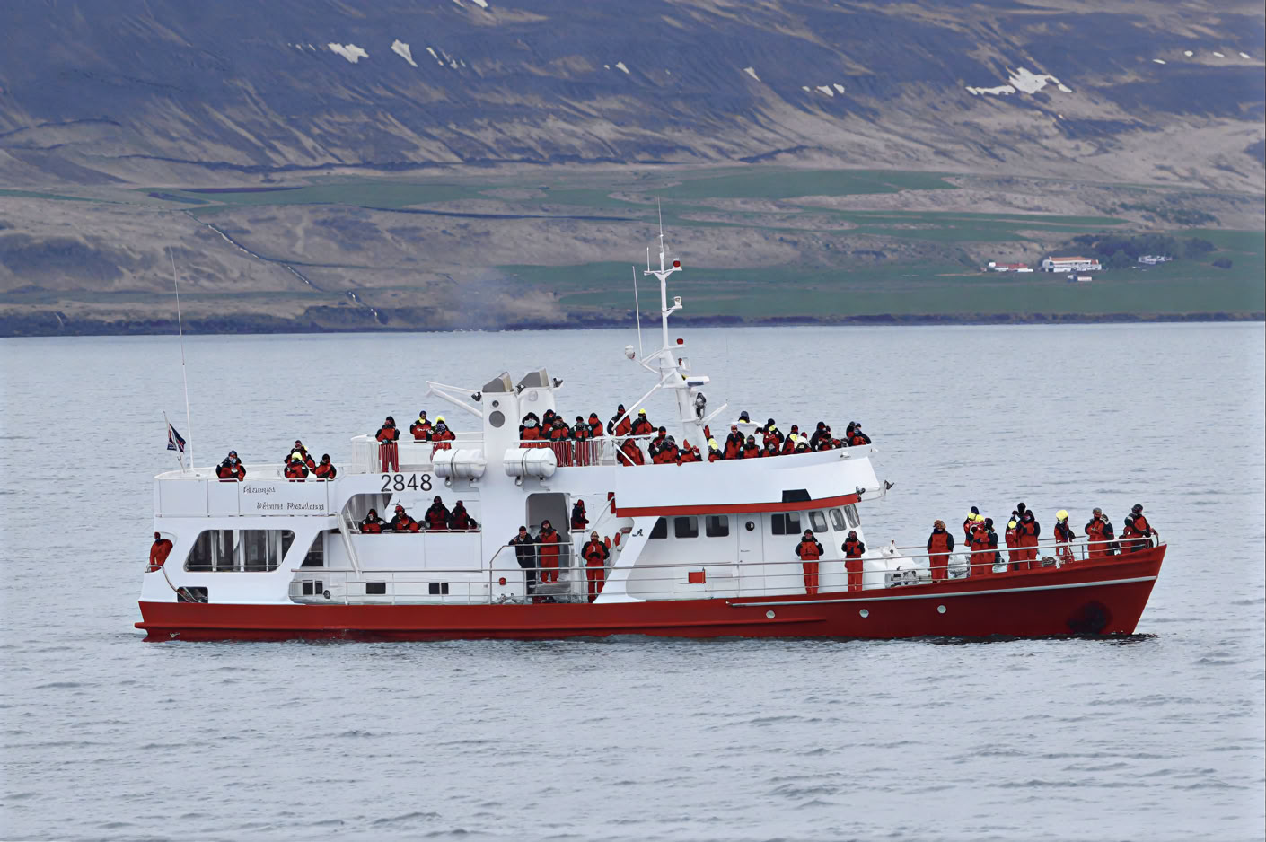 Akureyri Whale Watching