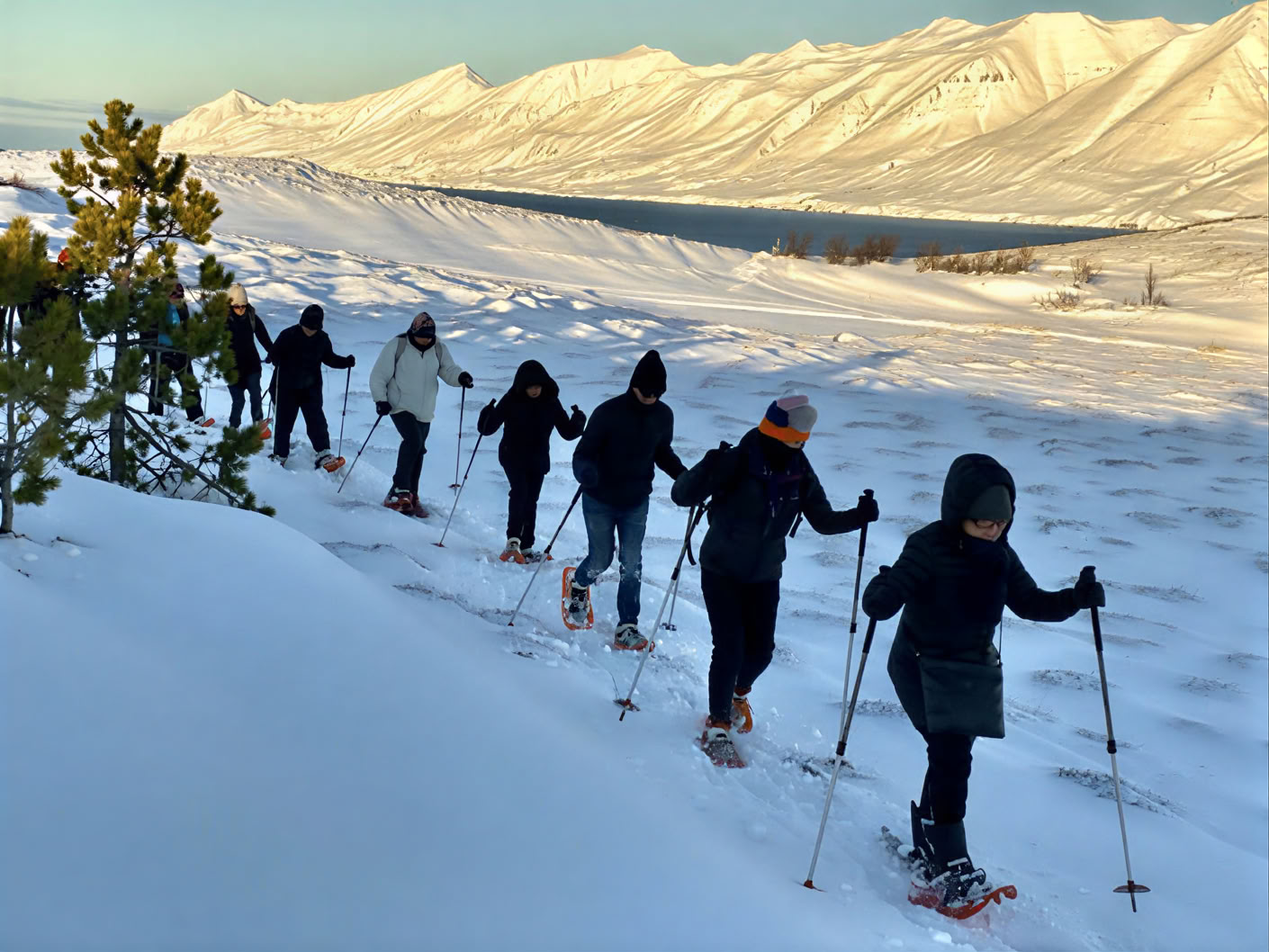 Yoga Ritiro sotto l’Aurora Boreale in Islanda – Date Inverno 2026