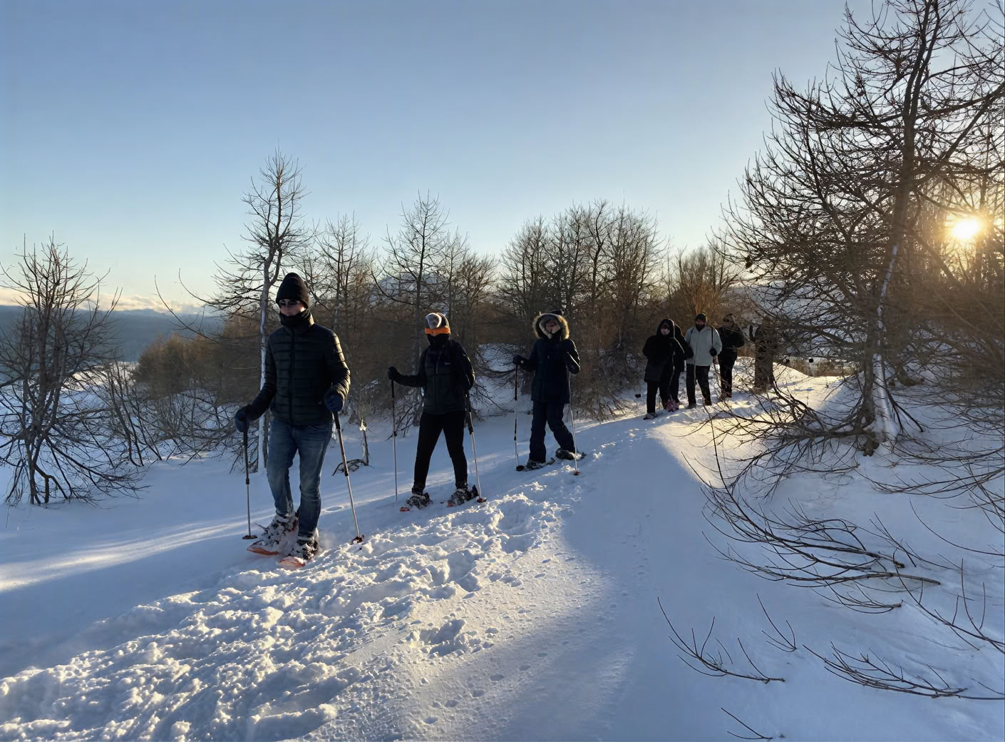 Yoga Ritiro sotto l’Aurora Boreale in Islanda – Date Inverno 2026