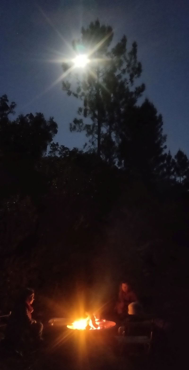 The Phoenix Rises - Un ritiro Vision Quest