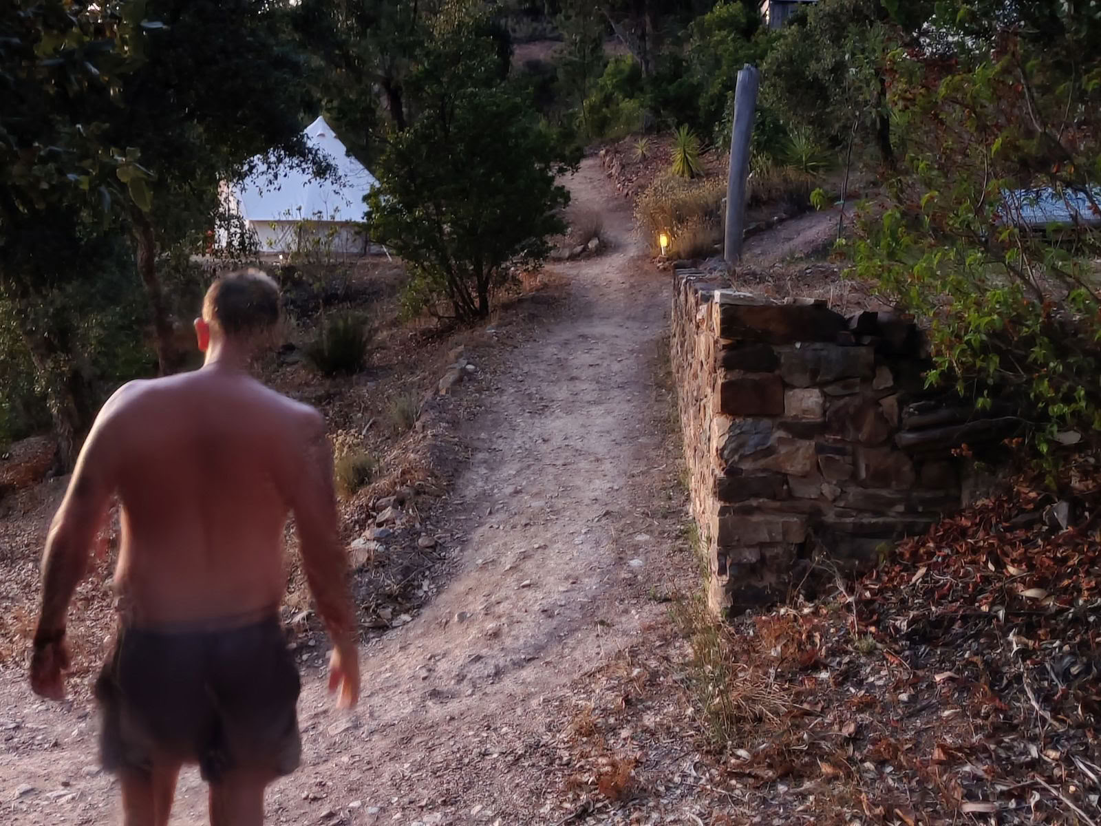 The Phoenix Rises - Un ritiro Vision Quest