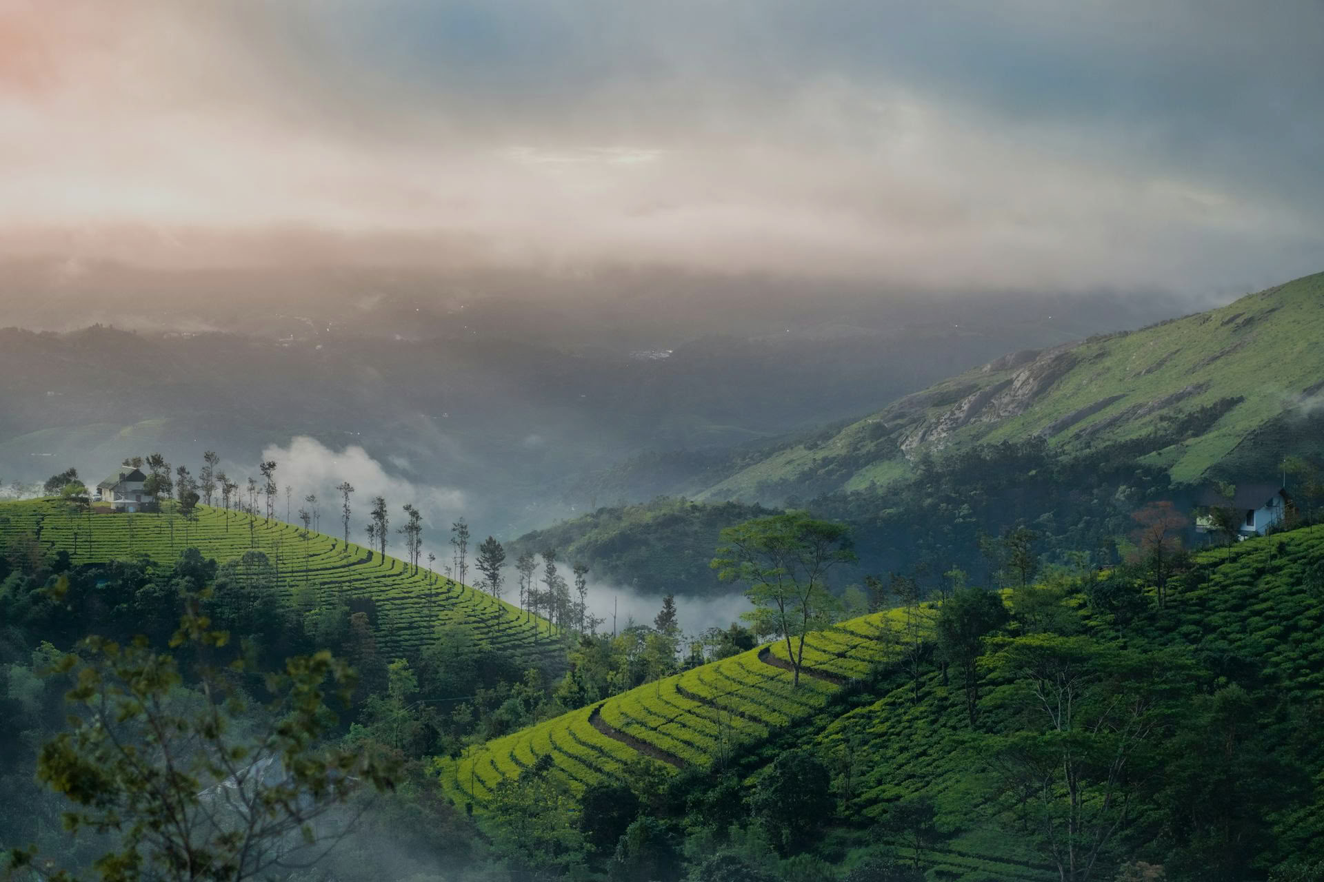 Kerala Yoga Ritiri con Ira Trivedi