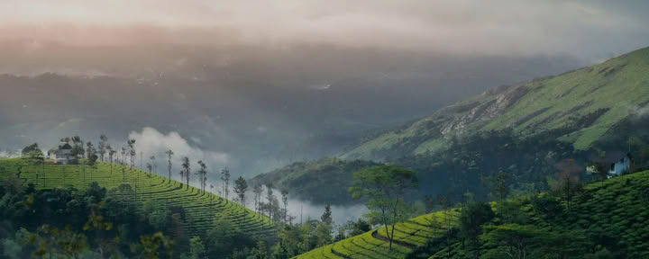 Kerala Yoga Ritiri con Ira Trivedi
