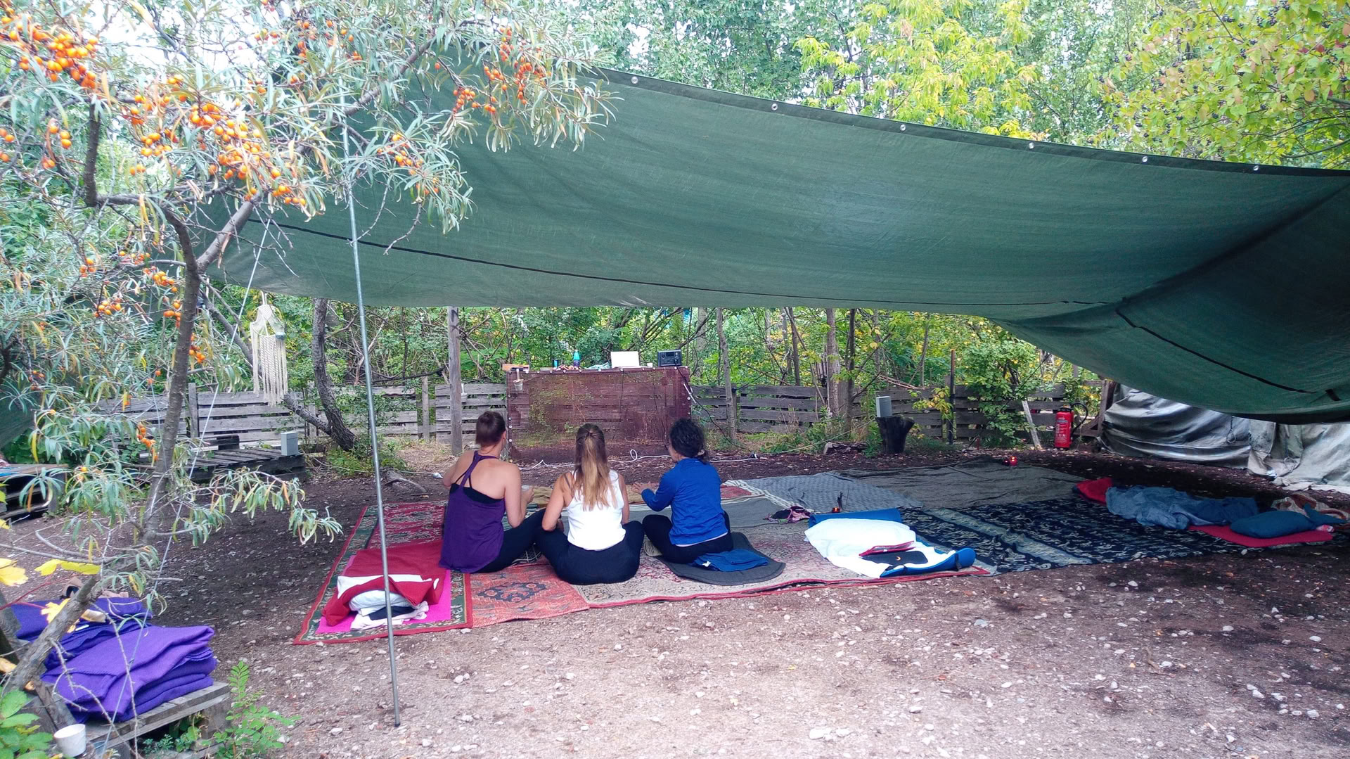 Wild Breathwork Berlin – Viaggio di Breathwork Sotto il Cielo Aperto