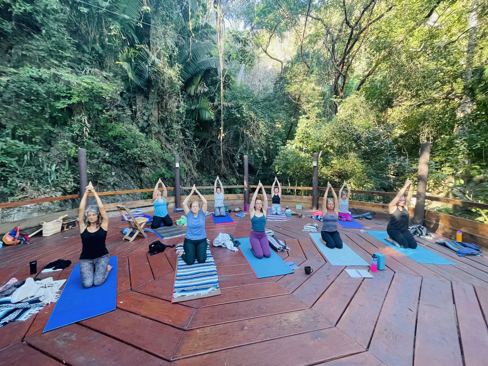 Heal Subtle Forces Within: Reset & Recovery Wellness Ritiro