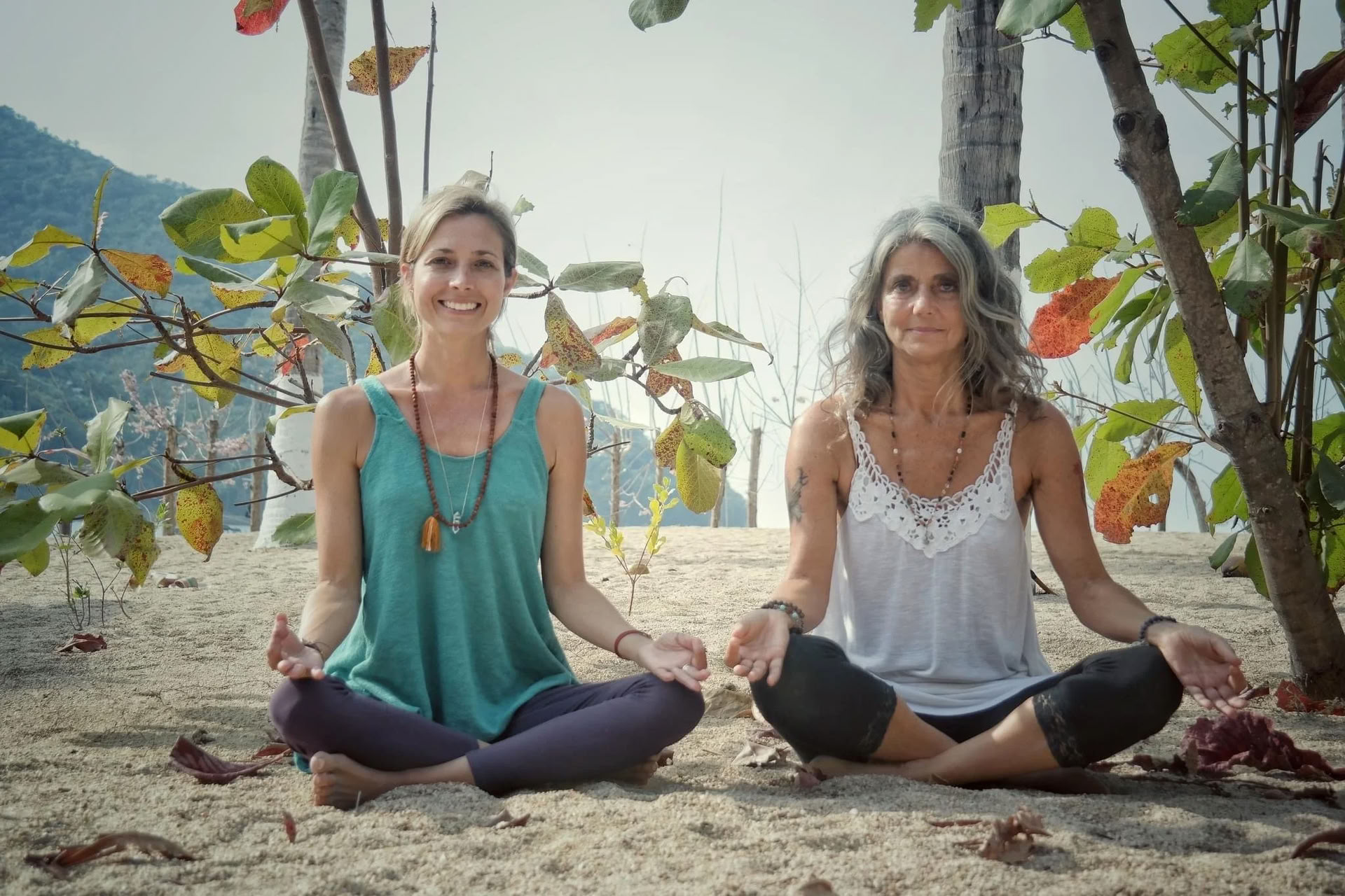 Heal Subtle Forces Within: Reset & Recovery Wellness Ritiro