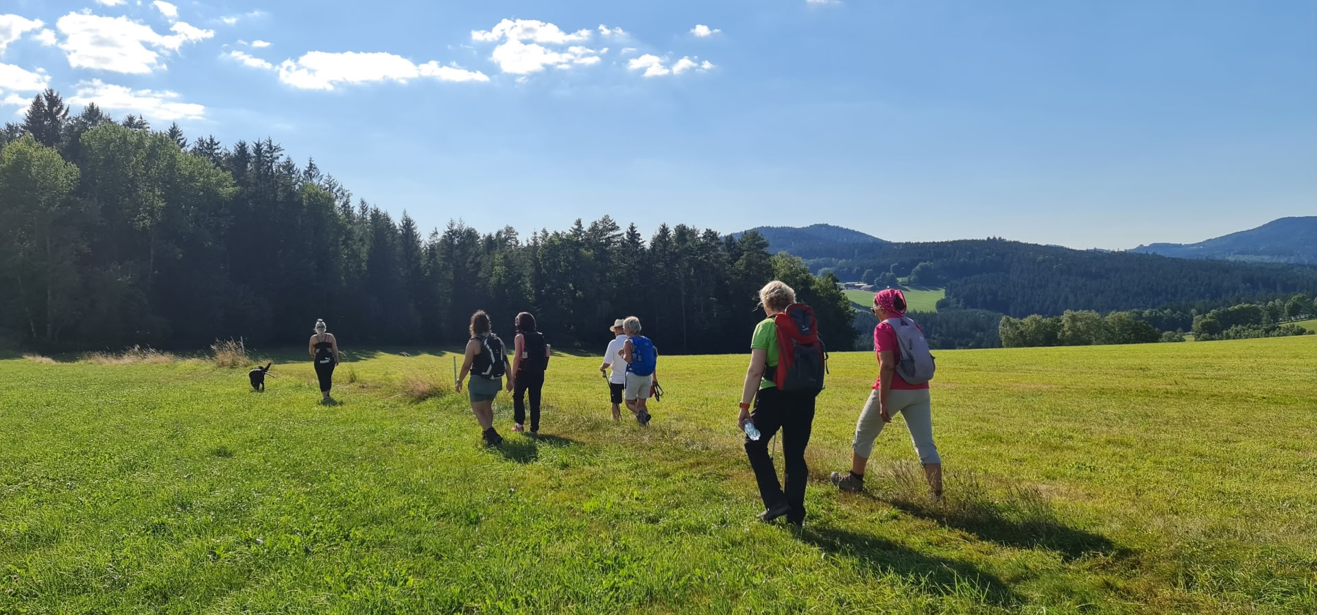 Yoga-Detox-Ritiro con escursioni a Kloster Waldbreitbach