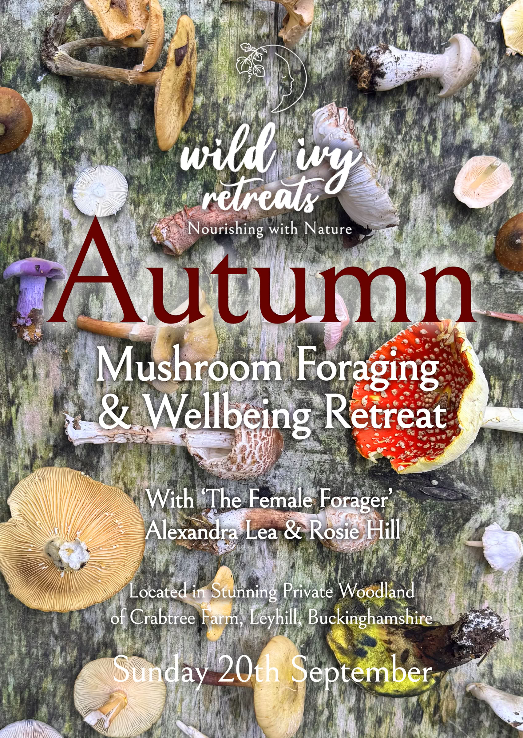 Mattinata di raccolta di funghi autunnali