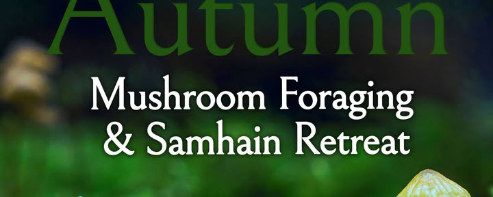 Ritiro di raccolta autunnale per Samhain