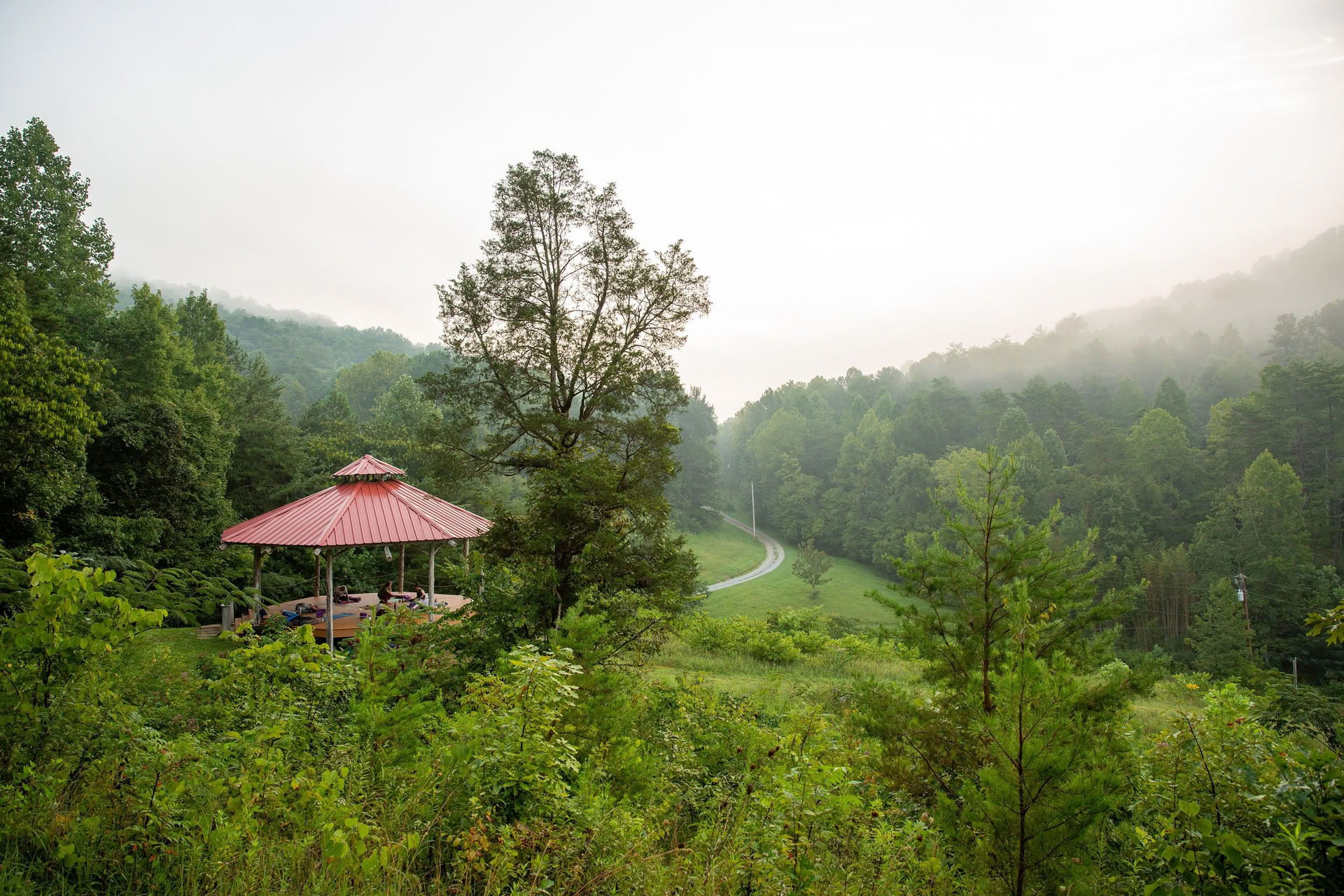 Walking the Path: Labyrinth & Nature Immersion Ritiro