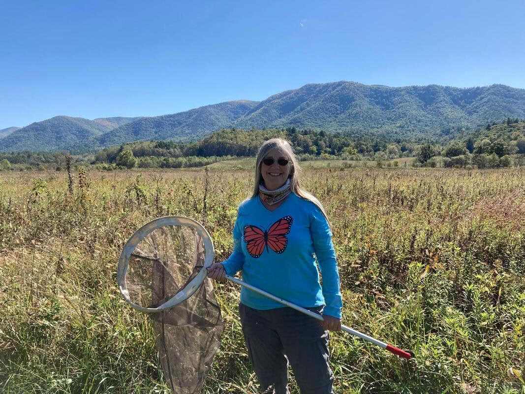 Walking the Path: Labyrinth & Nature Immersion Ritiro