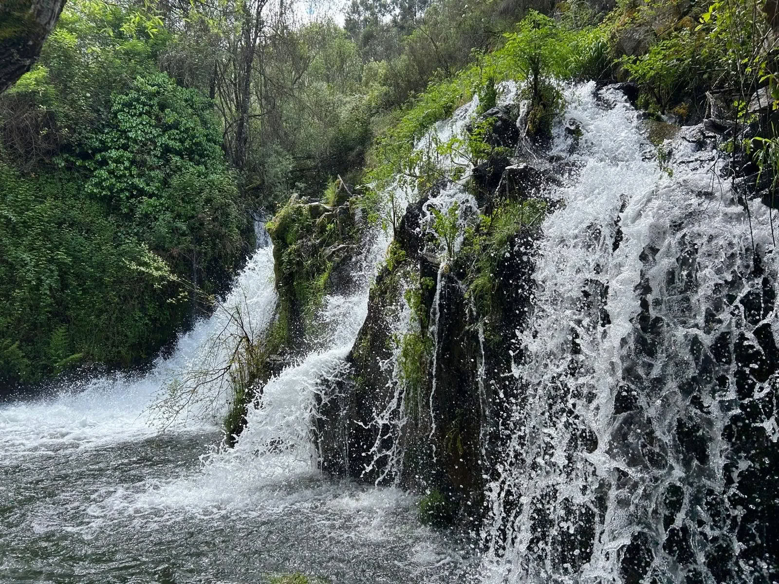 Heartful Yoga, Mindfullness and Walking Ritiro