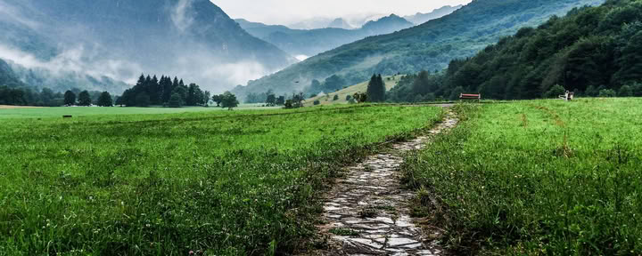 Risveglio nella mezza età