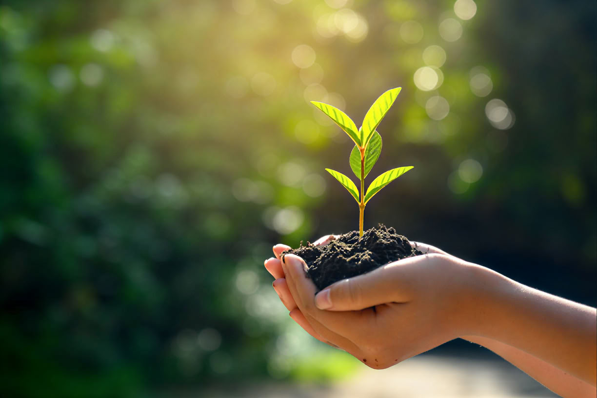 Esplorare l'Intuizione con un Medium Psichico