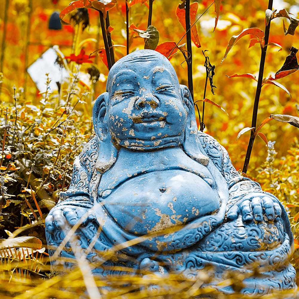 Mindfulness Meditation: Un’introduzione